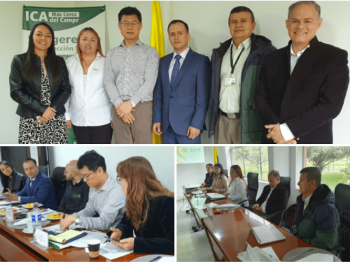 El ICA y el sector privado continúan impulsando las exportaciones de aguacate Hass hacia la República de Corea