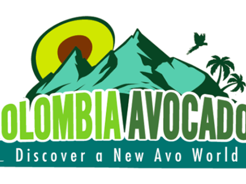 Colombia Avocado Board elige dos nuevos miembros de la junta directiva