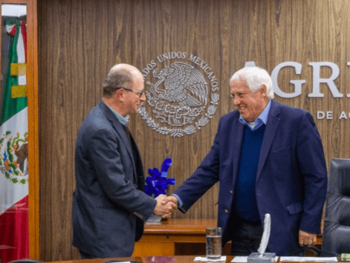 Potenciarán en zonas productoras protocolos fitosanitarios, seguimiento de productos y prácticas sustentables para la agricultura y los cultivadores de aguacate
