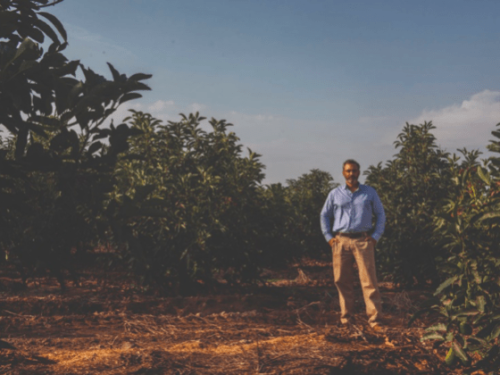 La reducción de la informalidad, clave para el futuro de la agricultura en Perú