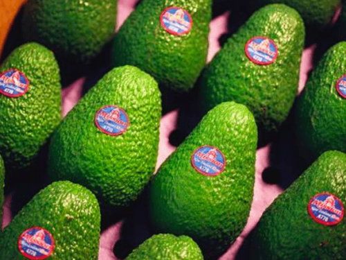 Mission reporta una serie de resultados diversos al finalizar el 2023