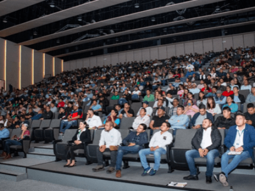 Aplicación adecuada de agroquímicos en el cultivo responsable de aguacate