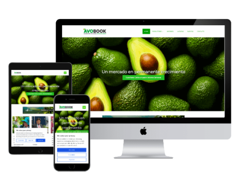 Avobook presenta su sitio web: La herramienta imprescindible para los líderes del mercado del aguacate