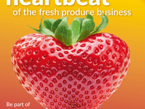 Avobook participará en Fruit Logística 2024 para impulsar el mercado internacional del aguacate Hass