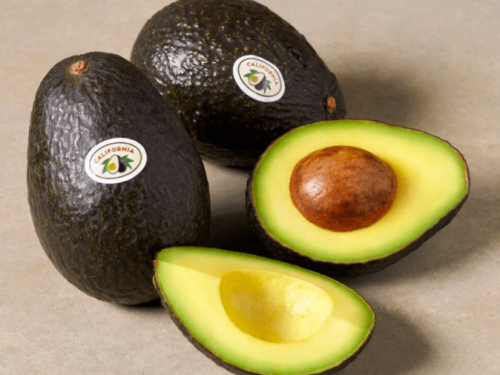 California Avocado Commission anticipa una temporada de cosecha menos abundante para el 2023-24