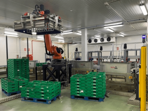 Reyes Gutiérrez inicia su primera cosecha de aguacate en sus fincas de Portugal y Cádiz, abarcando unas 500 hectáreas en total.