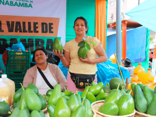 Asesoramiento de Senasa impulsa la exportación de palta por parte de los productores