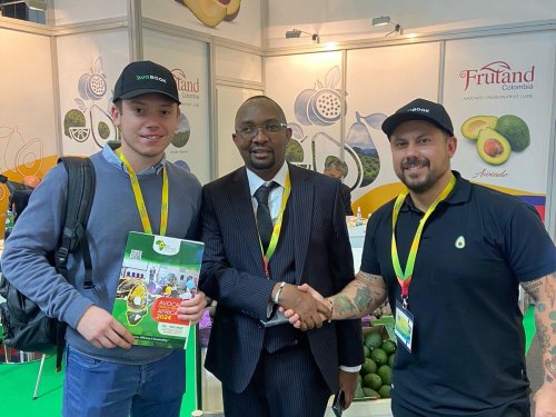 Avobook se convierte en media partner oficial del 4to Congreso Internacional del Aguacate en África