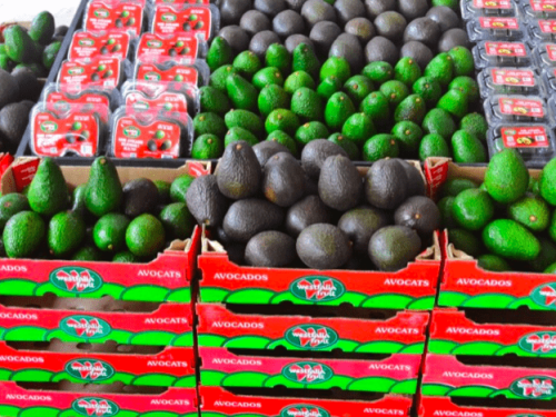 Westfalia celebra exitoso año en Asia