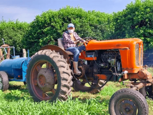 Aguacates en Argentina: No es un consuelo, es un ejemplo de desarrollo productivo a pequeña escala