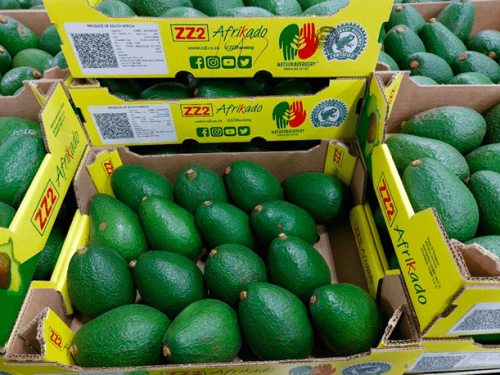La creciente demanda de aguacates presenta retos para los importadores