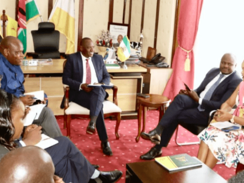 Impulso a la exportación de aguacate: condado asegura acuerdo de 302 millones (KES)