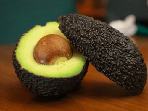 Maluma sobresale con un +36.5% de crecimiento en volumen en las exportaciones de palta peruana en 2023