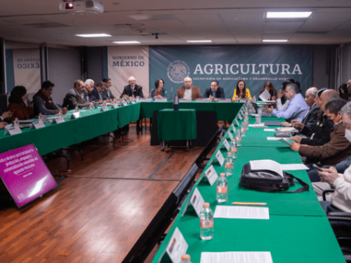 Colaboración por el desarrollo sostenible y ordenado de la industria del aguacate en México