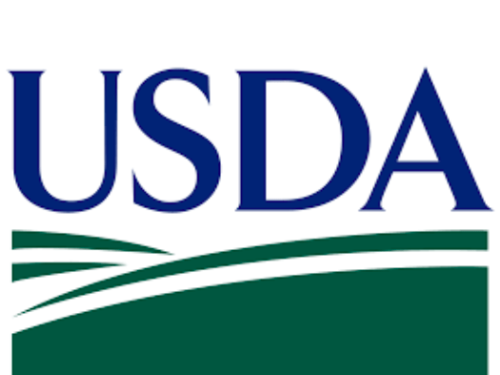 El USDA busca candidatos para el Consejo Nacional del Aguacate Hass