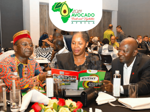 Avocado Fruits & Vegetables Africa 2024