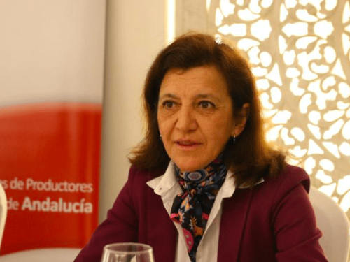 El aguacate destacará en Fruit Attraction 2024: Una cita global para la industria agrícola