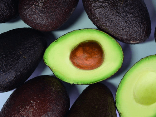 China amplía sus proveedores de aguacate Hass: Sudáfrica se suma al mercado