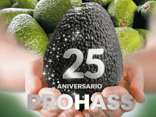 ProHass celebra 25 años de liderazgo en la industria de la palta Hass peruana