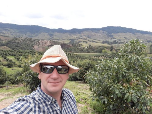 Sebastian de la Cuadra de Avobook: "Aumento en exportaciones de aguacate a Europa impacta en el precio"