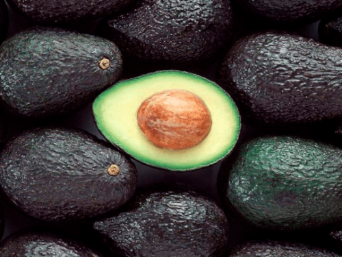 La palta, una fruta en auge en Argentina