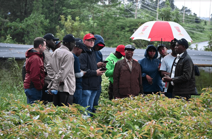 Tomás de La Cuadra, en medio de su recorrido a huertos de Kenia, en el marco del Congreso del Aguacate de África.