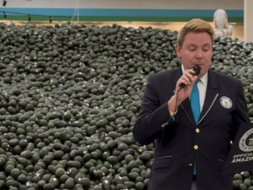 Exhibición de aguacates entra al Libro Guinness