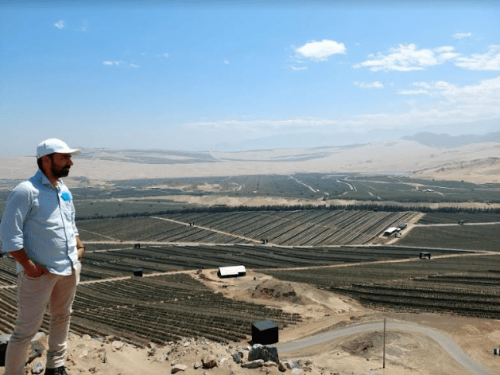 Jorge Molina Duque y su radiografía al aguacate colombiano