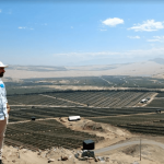 Jorge Molina Duque y su radiografía al aguacate colombiano