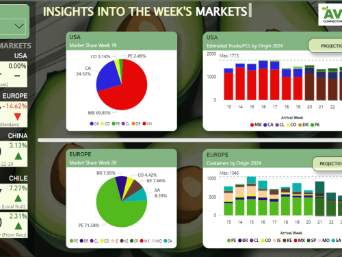 Aguacate de Colombia crece en Estados Unidos y volúmenes descienden en Europa
