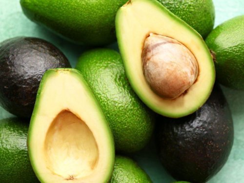Aguacate Hass filipino se prepara para debutar en el mercado japonés