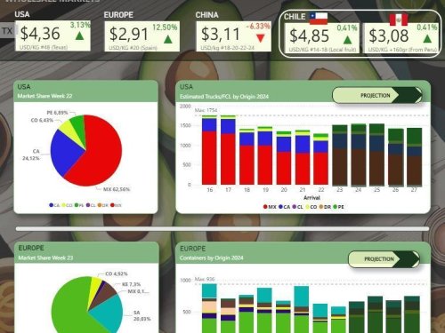 Mercado del aguacate: ¿Por qué bajan el volumen en Europa, los precios en China y los envíos de México a Estados Unidos?