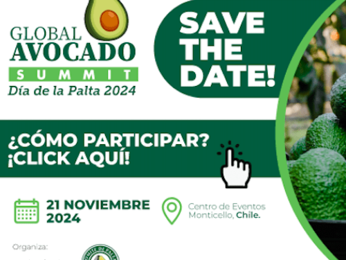 ¡Vuelve el día de la palta! Global Avocado Summit 2024 se celebrará en noviembre