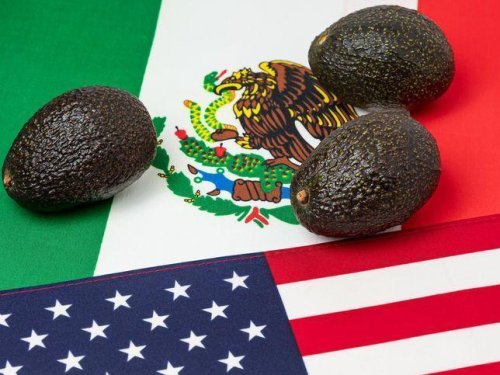 Los impactos de la suspensión de la importación de aguacate de México a Estados Unidos