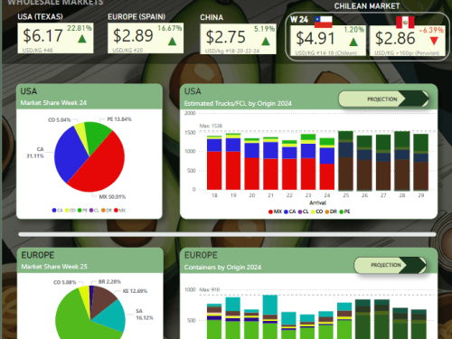México se sostiene en sus inventarios en Estados Unidos y Perú alcanza los 500 contenedores de aguacate en Europa