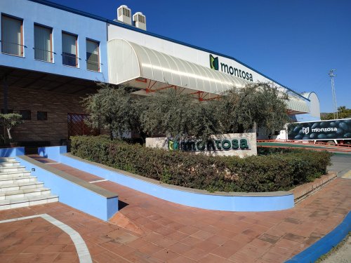 “Esperamos que se recupere el consumo de aguacate en Europa a partir de 2025”