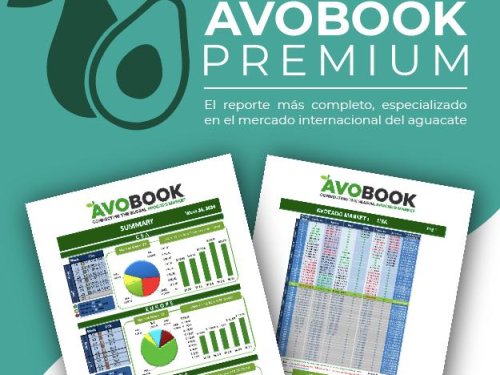 Reporte semanal premium: Información clave para un mercado en evolución