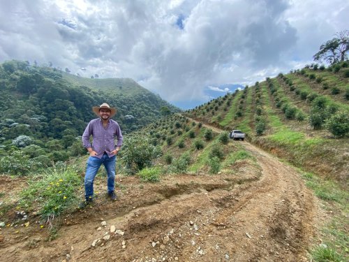 Baika Colombia: Panorama 2024