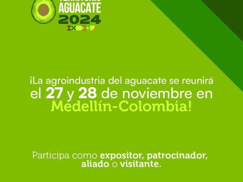 Territorio Aguacate 2024: un evento clave para la industria del aguacate