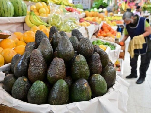 Informe del Hass Avocado Board: Festividades del primer trimestre impulsaron las ventas de aguacate en EE.UU.