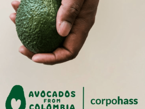 Colombia amplía hectáreas para exportación de Aguacate Hass a EE.UU