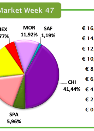 Avobook Premium Report w29