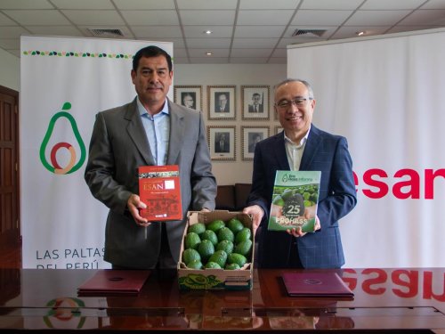 PROHASS y ESAN firmaron convenio para potenciar visión empresarial de productores de palta hass