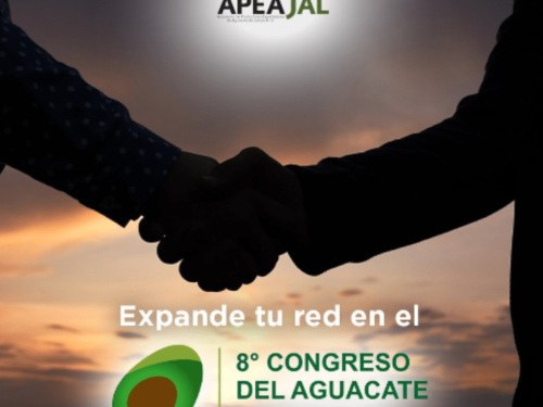 8vo Congreso del Aguacate: Un encuentro para impulsar la industria