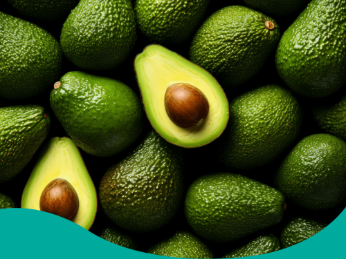 Temporada prometedora para la industria del aguacate en Nueva Zelanda