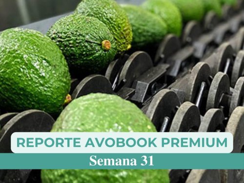 Precios del aguacate: aumentan en Estados Unidos y se mantienen estables en el mercado europeo