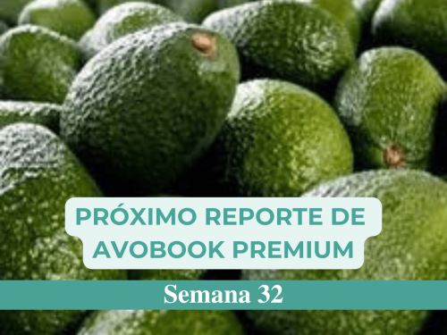Colombia termina la cosecha de Flor Traviesa y prepara la nueva temporada de aguacate