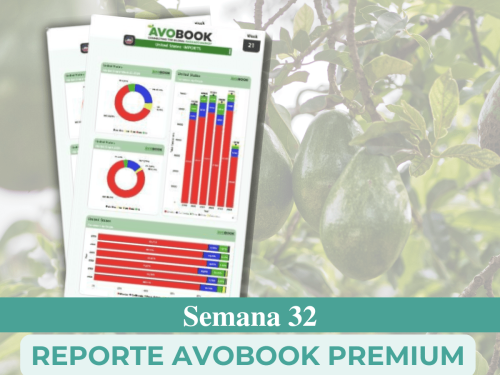Europa registra 29% menos de volumen de aguacate que el año pasado en la semana 32