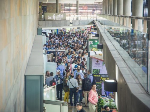 Territorio Aguacate 2024: Explorando las oportunidades y desafíos de la agroindustria del Aguacate Hass en Colombia