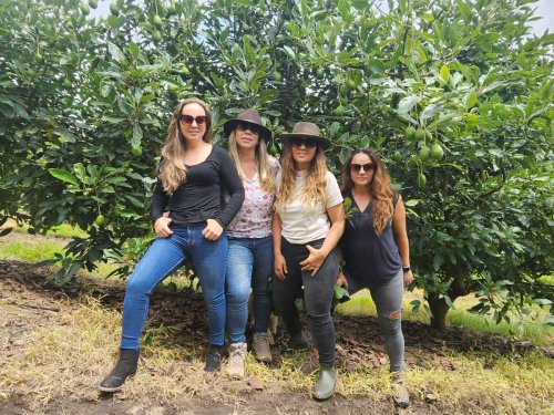 Irubiterra: Incorporando a Ecuador al mapa mundial del aguacate